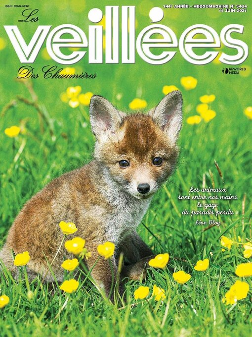 Title details for Les Veillées des chaumières by Reworld Media Magazines - Available